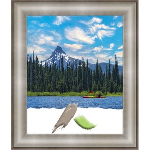 Amanti Art Imperial Silver Picture Frame - 1 of 4