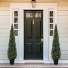 3/4 /5ft Artificial Cedar Tree, Home Decor Fake Cypress Potted Imitation Evergreen Plants for Indoor and Outdoor Front Porch Garden Decorative Fruit - 4 of 4