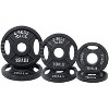 Sapphtopaz Olympic Cast Iron Plate Weight Plates for Barbell, 2-Inch Barbell Plates for Weightlifting and Strength Training in Home & Gym - 4 of 4