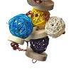 A&E Cage Company Happy Beaks Extra Small Ball Thing Bird Interactive Toy - 2 of 3