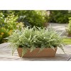Fern Foliage Bush 16" Plastic Greenery – Set of 12 by Melrose - 3 of 3