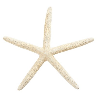 12 Pack White Finger Starfish for Nautical Decor and Crafts