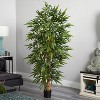 HomeStock  6 ft. Artificial Bamboo Tree in Pot for Indoor/Outdoor - 4 of 4