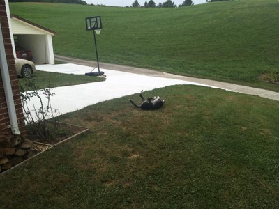 Guest review image 5 of 6, zoom in