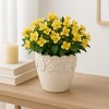 Stoneware Ceramic Planter with Embossed Floral Rim and Curved Edge Detailing for Decorative Display and Contemporary Accent Styling - 3 of 4