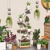 Aghana Digitals 8-Tier S-Shaped Corner Plant Stand, Carbonised Finish - Steel & Fir Wood Indoor - 2 of 4