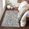 Coucheta Washable Low Pile Area Rug , Non-Slip Indoor Outdoor Carpet for Living Room Bedroom Kitchen, Multi-Color & Size - 2 of 4