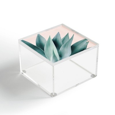 Gale Switzer Agave Flare II Peach Acrylic Box - Deny Designs