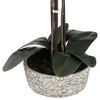 Studio 55D Potted Faux Artificial Flowers Realistic Red Orchid in Gray Vase with Acrylic Riser for Home Decor Living Room 24" High - 3 of 4