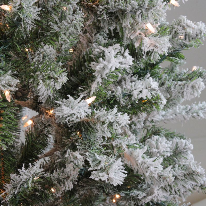 Northlight 7' Prelit Artificial Christmas Tree Flocked Balsam Pine - Clear Lights, 4 of 6