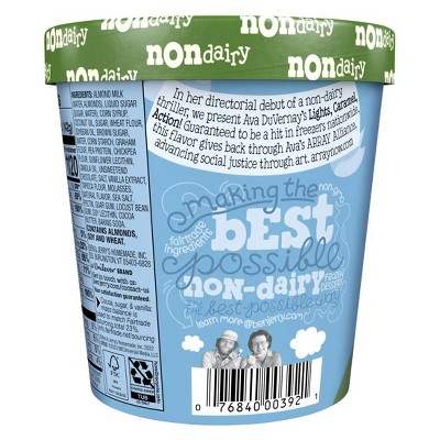 Ben &#38; Jerry&#39;s Non-Dairy Lights Caramel Action! Frozen Dessert - 16oz