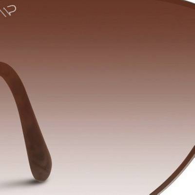 metallic brown frame/brown gradient lens
