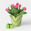 6" Potted Tulip - Good Little Garden™ - 2 of 3