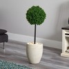 Nearly Natural 3-ft Boxwood Ball Topiary Artificial Tree in Oval Planter UV Resistant (Indoor/Outdoor) - 3 of 3