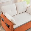 53" Modern Convertible Sofa Bed, Velvet Fabric Pull Out Sleeper Loveseat With USB Port And 2 Removable Armrests - 3 of 4