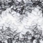 grey/ivory