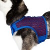 Doggie Design Active Mesh Dog Harness with Leash - Blue & Red - 3 of 4