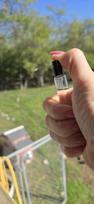 Guest review image 2 of 3, zoom in