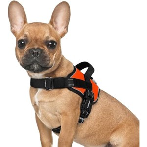 rabbitgoo Dog Harness for Small, Easy On Pet Vest with One Buckle, No Pull Adjustable Service Training, Orange, S - 1 of 1