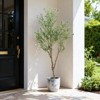 Faux Olive Tree, Fake Black Olive Tree with Pot, Outdoor Indoor Tall Artificial Plants Tree Potted for Home Office Living Room - 4 of 4