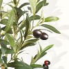 Tree City 4 Ft Artificial Olive Tree – Fake Floor Plant in Plastic Pot, Realistic Faux Greenery - 3 of 3