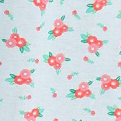 aqua - coral