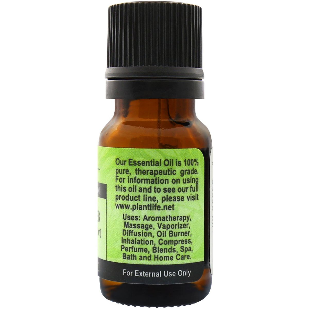 Plantlife Parsley Herb Aromatherapy Essential Oil – 100% Pure, Therapeutic Grade, No Additives or Fillers, Made in California, 10 ml - thumbnail 2