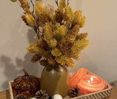 Guest review image 1 of 2, zoom in