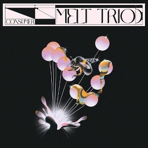 Melt Trio - Consumer (CD) - 1 of 1