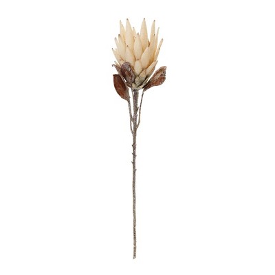 Beige and Brown Protea Flower Stems Set of 2