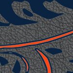 auburn tigers