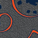 auburn tigers