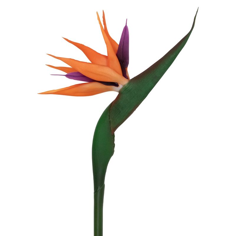 Northlight Real Touch™ Bird of Paradise Artificial Floral Stems, Set of 6 - 33", 3 of 10