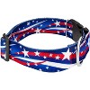Country Brook Petz HossFit Jr Wide Deluxe Dog Collar - Americana Collection - 3 of 4
