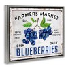Stupell Industries Farmers Market Blueberries Black Framed Floater Canvas Wall Art - 3 of 4