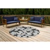 Liora Manne Capri Coastal Indoor/Outdoor Rug.. - 2 of 4
