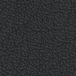 baltimore orioles 1955