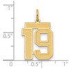 Black Bow Jewelry 14k Yellow Gold, Jersey Collection, Medium Number 19 Pendant - 2 of 3