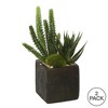 Vickerman 8" Artificial Green Succulent Arrangement, Pack of 2 - 3 of 3
