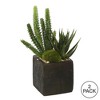 Vickerman 8" Artificial Green Succulent Arrangement, Pack of 2 - image 3 of 3