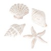 Sullivans 5.25",5.75",4.75" & 5.75" Whitewashed Seashells Set of 4 - 4 of 4