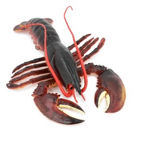 Collectible Wildlife Gifts | Lobster, Boston, American, Museum Quality, Rubber Crustacean, Hand Painted, Realistic Toy Model, Gift,   9"   CH347 BB135 - 1 of 4