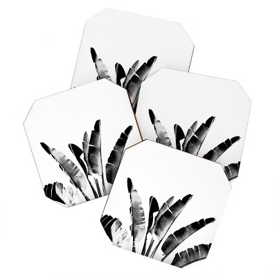 Gale Switzer Traveler Palm Bw Set of 4 Coasters - Deny Designs