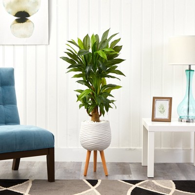 46" Green Corn Stalk Dracaena Artificial Plant in White Planter with Wooden Stand