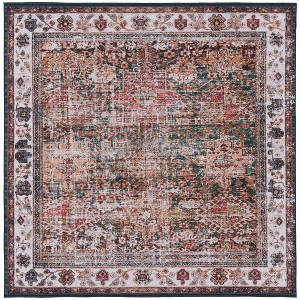 Tucson Vintage Persian TSN114 Power Loomed Machine Washable Skid-Resistant Indoor Rugs - Safavieh - 1 of 4