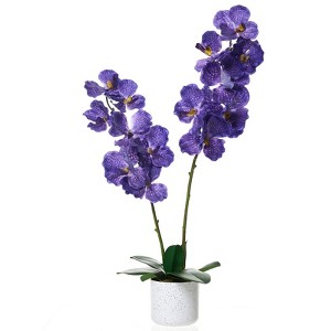 31" Artificial Orchid Plant with Green Leaves, Faux Phalaenopsis in White Planter for Indoor Home & Office Decor - 1 of 4