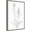 Amanti Art Lambs Ear Sage IV Bleached by Chris Paschke Framed Canvas Wall Art - 2 of 4