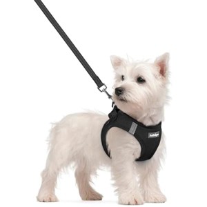 rabbitgoo Dog Harness Small Sized and Leash Set, Step in Soft Light Puppy Pet Harness, Reflective for Safe Easy Walking, Black S - 1 of 1