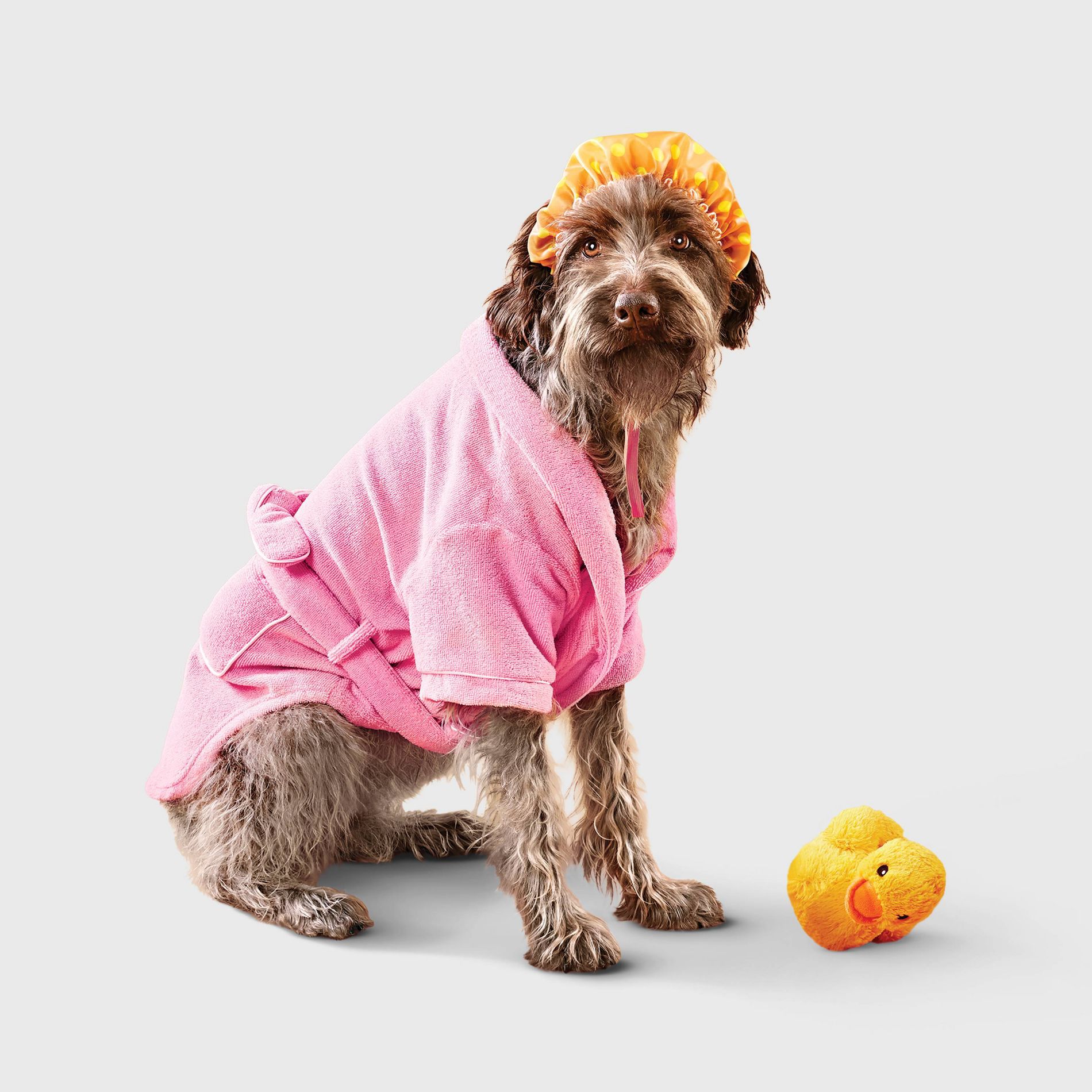 Bathrobe with Toy Dog Full Body Costume - Boots & Barkley™ M