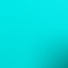 black/mint